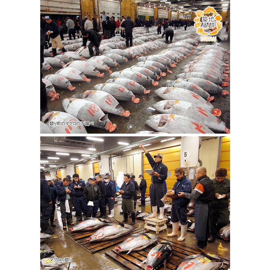 マグロ一尾全身の部位セット 冷凍便 339 築地魚群 通販 Yahoo ショッピング