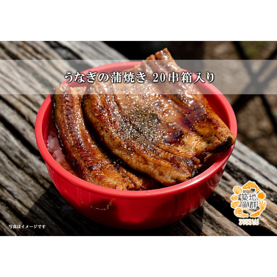 うなぎの蒲焼き20串箱入り 冷凍便 : 築地魚群 - 通販 - Yahoo!ショッピング
