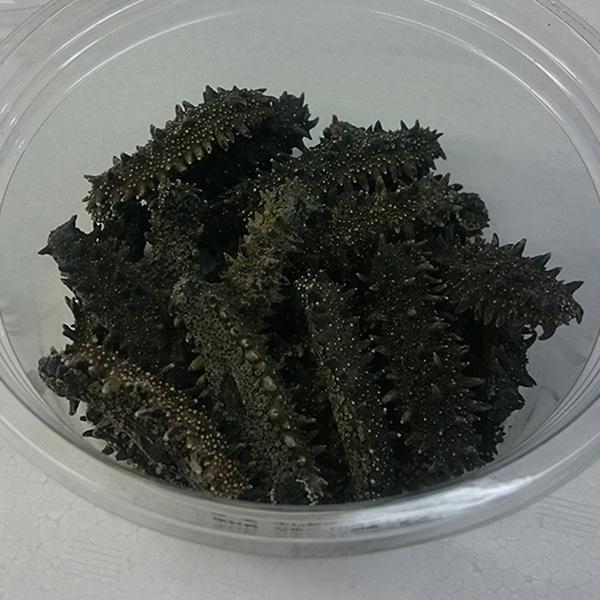 天然乾燥ナマコ 天然乾燥ナマコ（キンコ、海参）100g前後 常温便 : 築地魚群 - 通販