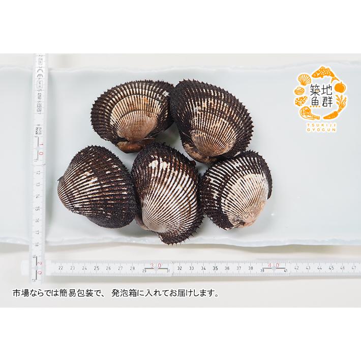 赤貝（国産）500g　冷蔵便 |  | 02