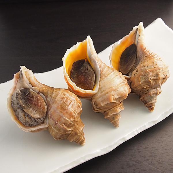 真つぶ貝（エゾボラ貝）500g（北海道産） 冷蔵便 : 築地魚群 - 通販