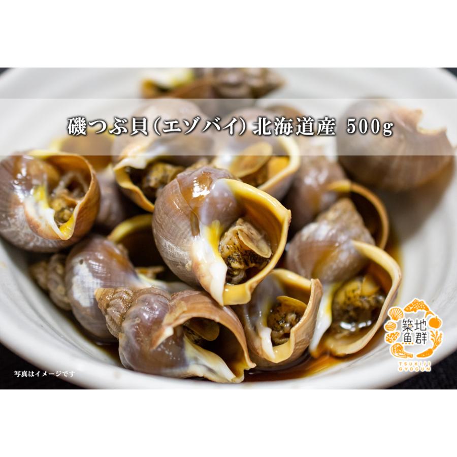 磯つぶ貝 エゾバイ 500g 北海道産 冷蔵便 390 築地魚群 通販 Yahoo ショッピング
