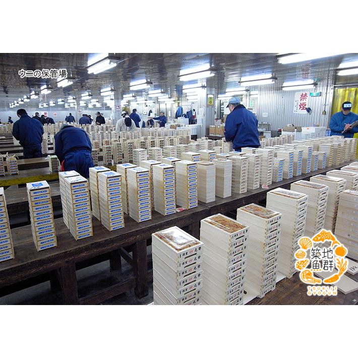 うに(銅レベル)1箱　冷蔵便