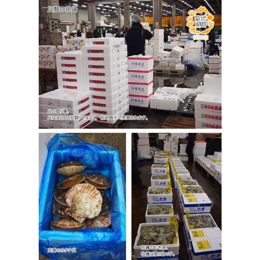 特大活サザエ1kg(3-6個)　国産　冷蔵便 |  | 04