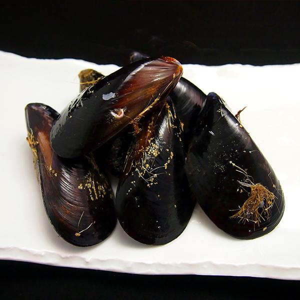 活ムール貝1kg　国産　冷蔵便 | 