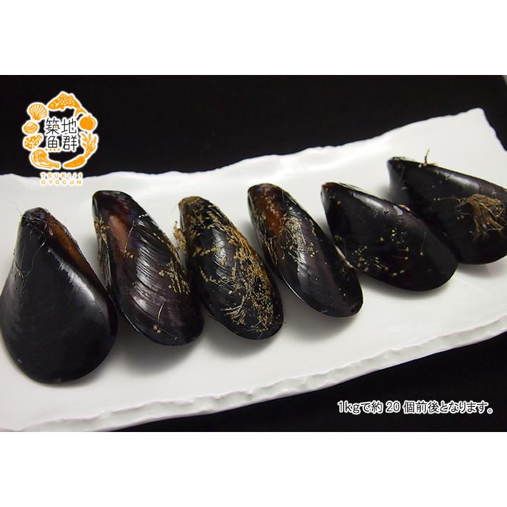 活ムール貝1kg　国産　冷蔵便 |  | 02