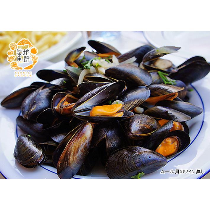 活ムール貝1kg　国産　冷蔵便 |  | 03