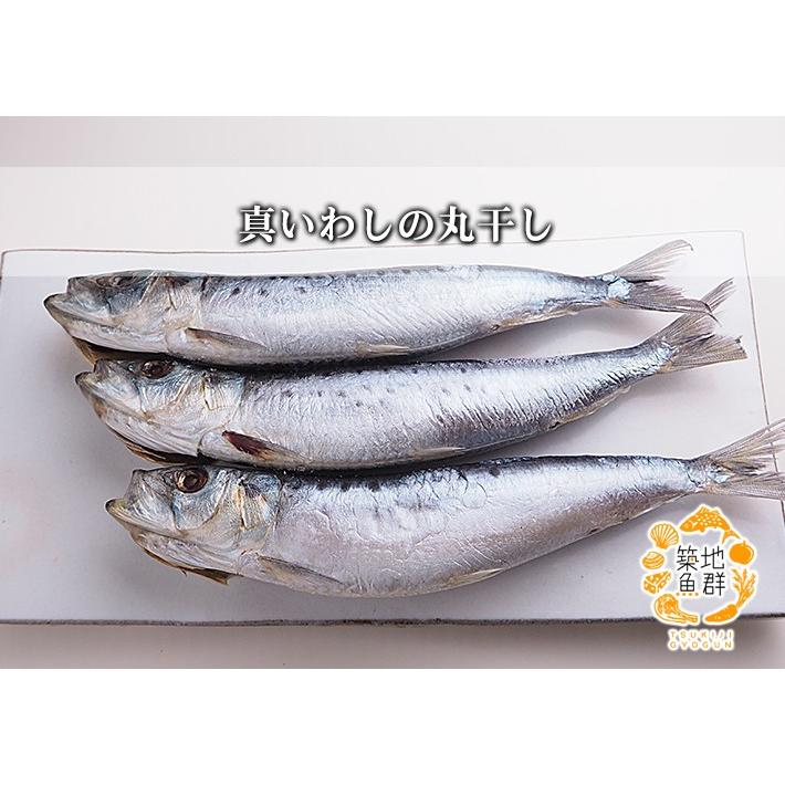 真いわしの丸干し 冷凍便 : 築地魚群 - 通販 - Yahoo!ショッピング