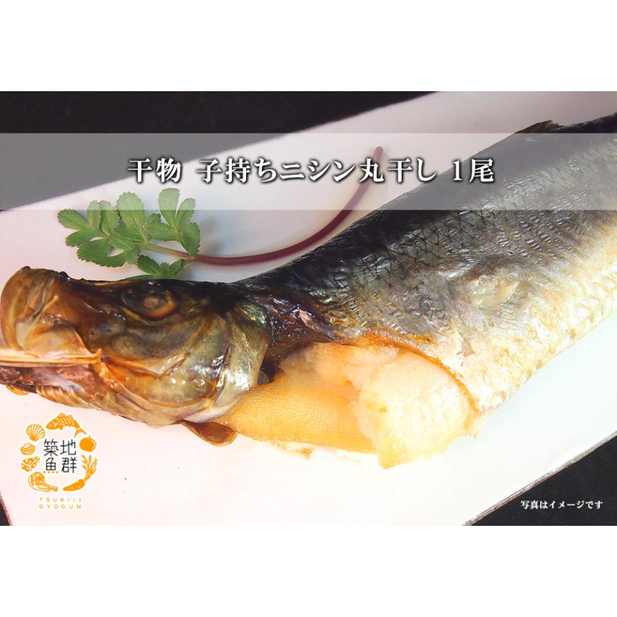 干物子持ちニシン丸干し1尾 冷凍便 84 築地魚群 通販 Yahoo ショッピング