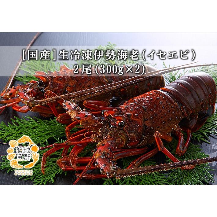 国産生冷凍 伊勢海老 イセエビ 2尾 300g 2 冷凍便 商品代引不可 875 築地魚群 通販 Yahoo ショッピング