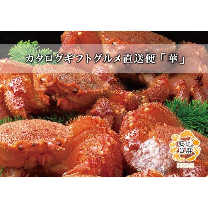 福袋 バースデイ カタログギフト 築地魚群 : /商品代引不可 グルメ直送便「華」 生鮮魚介類・水産加工品