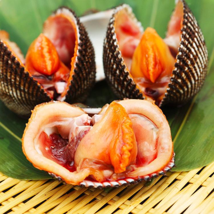 赤貝 殻付き活 大 1kg（6〜8個） : 活魚介の振興商事 - 通販 - Yahoo