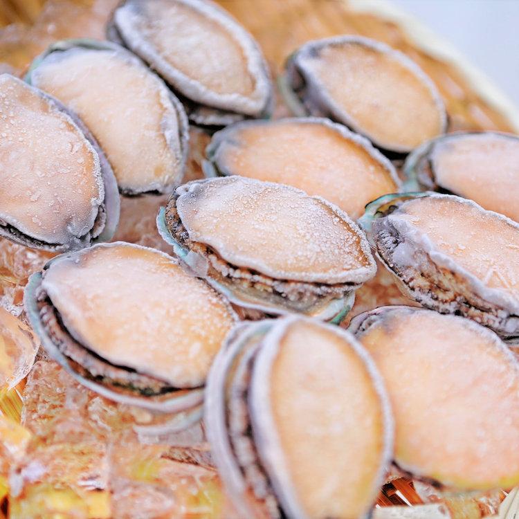 交換無料 特殊冷凍 活〆生アワビ 1 6kg 1枚90 100gサイズ 楽天市場 Zoetalentsolutions Com