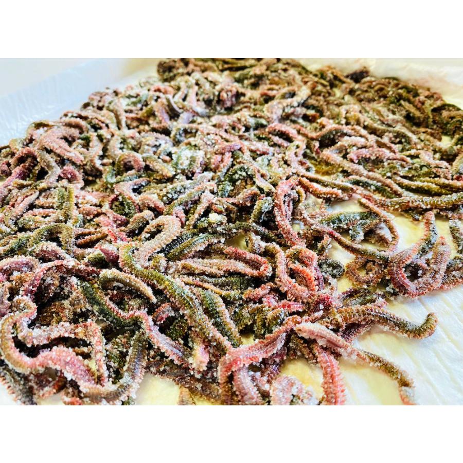 青イソメ 塩イソメ　1kg　受注生産　アミノ酸加工　釣餌　クール便発送　 | 