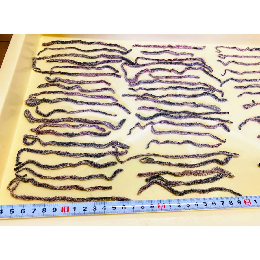 青イソメ 塩イソメ　1kg　受注生産　アミノ酸加工　釣餌　クール便発送　 |  | 01