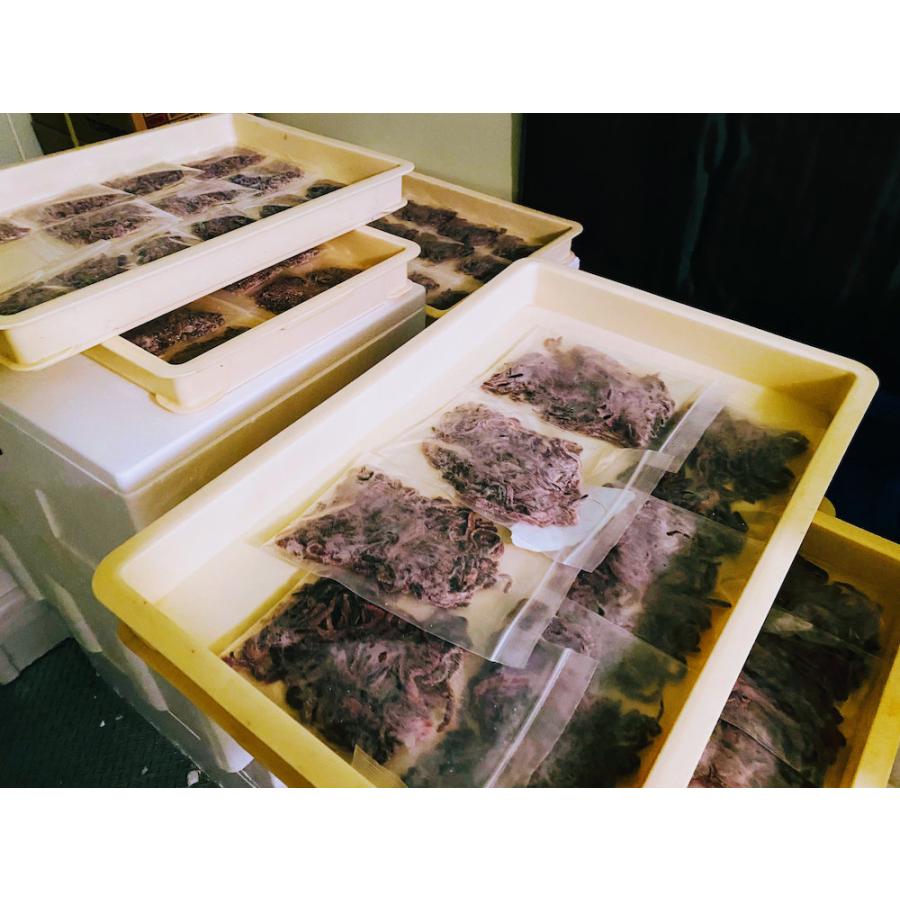 青イソメ 塩イソメ　1kg　受注生産　アミノ酸加工　釣餌　クール便発送　 |  | 03