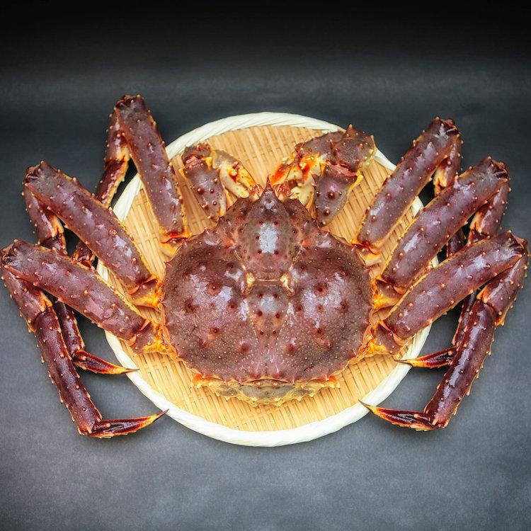 50 Off 活タラバガニ 1杯3kg前後 Taraba30kg 活魚介の振興商事 通販 Yahoo ショッピング 高い素材 Wjhni Com