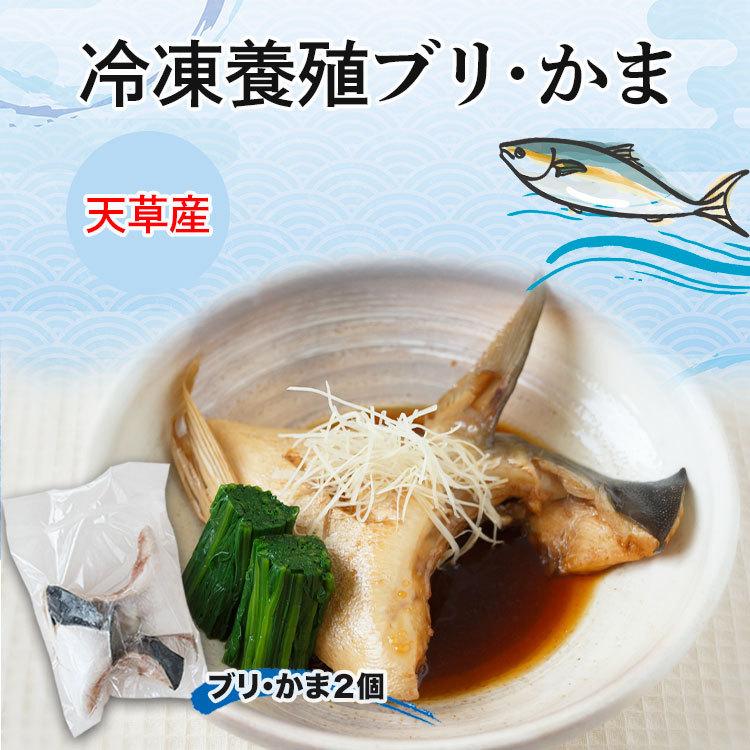 013ブリかま 養殖 冷凍 2セット 熊本県天草産 直送 お取り寄せ グルメ ギフト Am 013 天草うまいもの市場 通販 Yahoo ショッピング