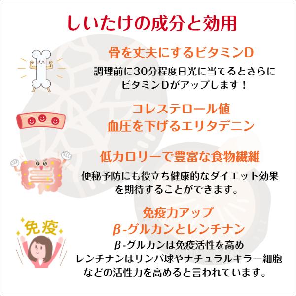 干し椎茸 国産 業務用 500g 西日本産 原木栽培 無農薬 ( しいたけ 干ししいたけ )｜gyomuyo-kanbutsushop｜05