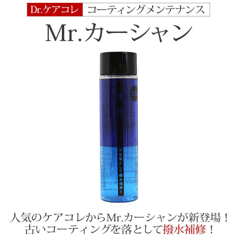 SALE開催中 SPASHAN スパシャン Mrカーシャン 500ml Dr.ケアコレ Mr
