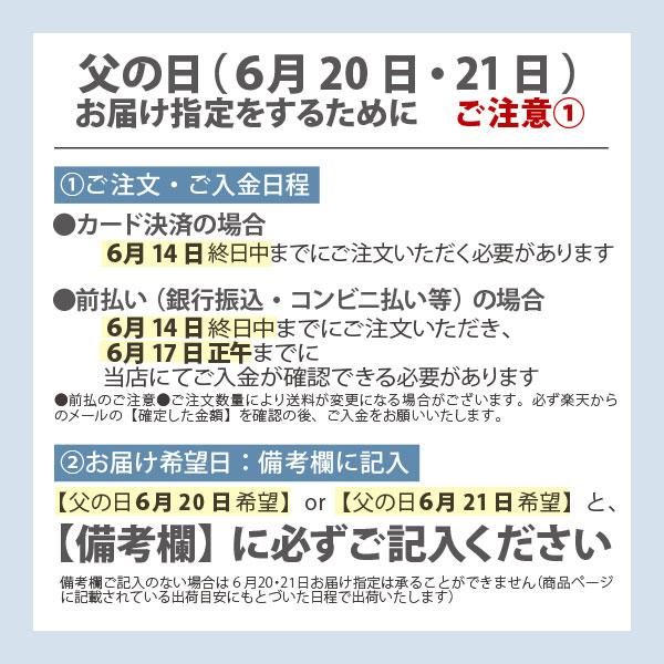 送料無料】【品質保証期限2026年6月末日】新政 No.6 X-mas