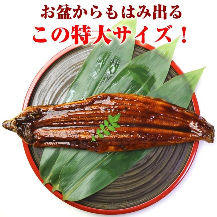 うなぎ蒲焼 約300g 中国産 特大 1尾 業務用 メガ盛り 訳あり ギフト :unagikessan:業務ストア京のかねきゅう - 通販 - Yahoo!ショッピング うなぎ蒲焼 約300g 中国産 特大 1尾 業務用 メガ盛り 訳あり ギフト :unagikessan:業務ストア京のかねきゅう - 通販 - Yahoo!ショッピング