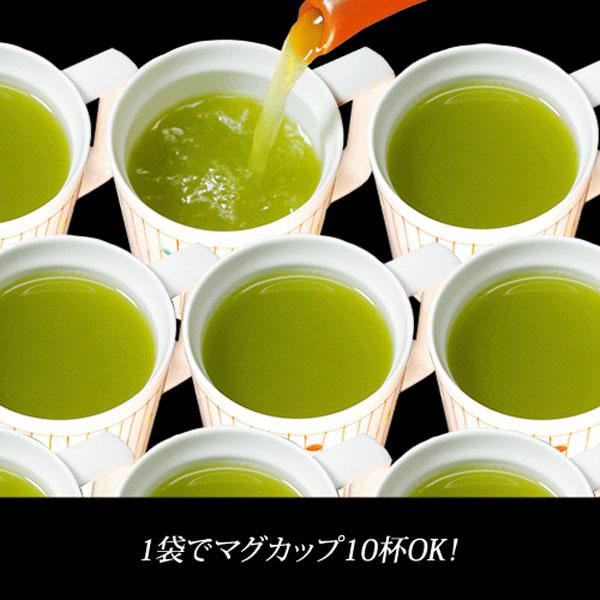 煎茶ティーバッグ20号 1kg（5g×200p）煎茶 ティーバッグ 業務用｜gyoumuyoucha-com｜08