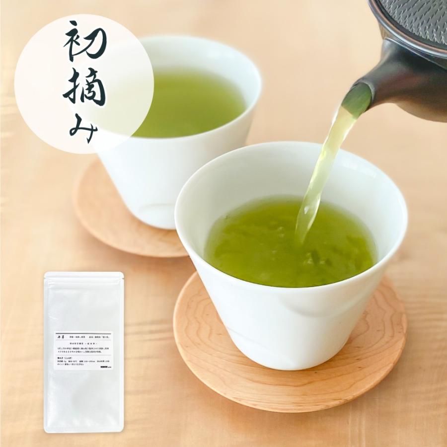初摘み 新茶 21 100g 静岡茶 深蒸し茶 来客用 お茶 送料無料 上級深蒸し煎茶 初摘み a 業務用茶 Com 通販 Yahoo ショッピング