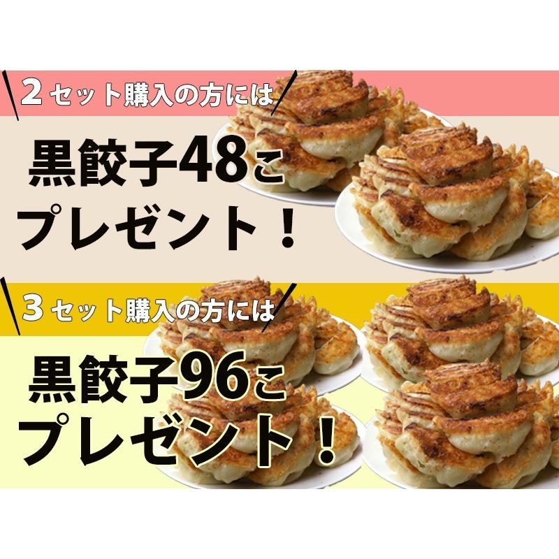 本餃子48個 黒餃子48個 約16人前 餃子 ぎょうざ 冷凍 ギフト お中元 ご