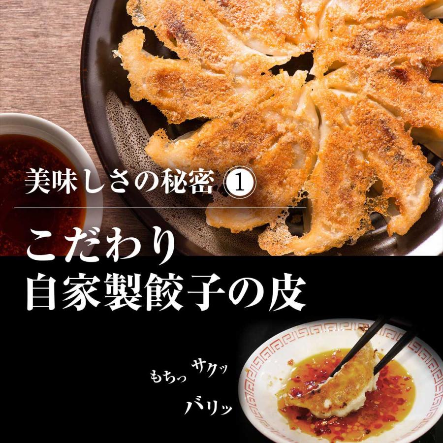 焼餃子 楽天市場】【ふるさと納税】【2025年7月下旬発送】鉄人餃子 300