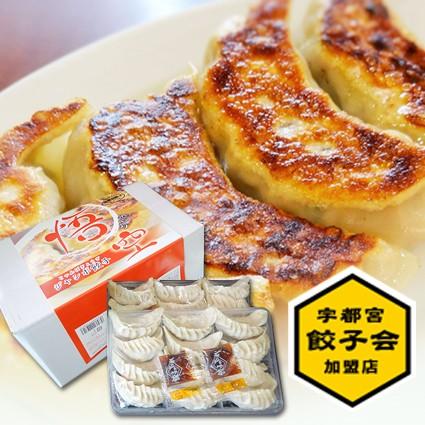 ジャンボ餃子(1箱24個入) | 
