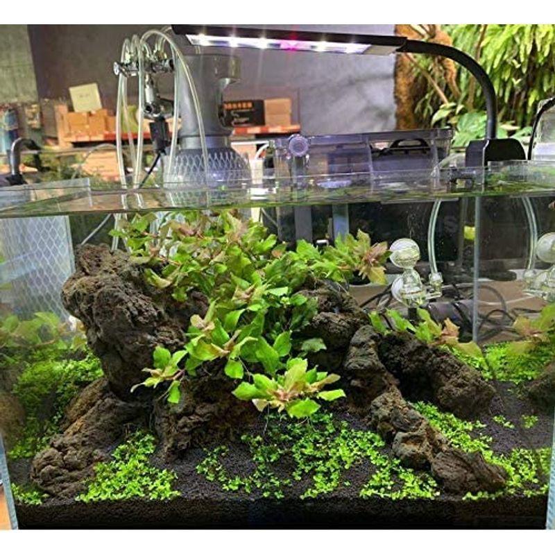 Led水槽ライト 熱帯魚ライト 水槽照明用 9w フルスペクトル 照明モード調整可能 水草育成 25 45cm水槽対応 メーカー再生品 白 観賞魚飼育 青
