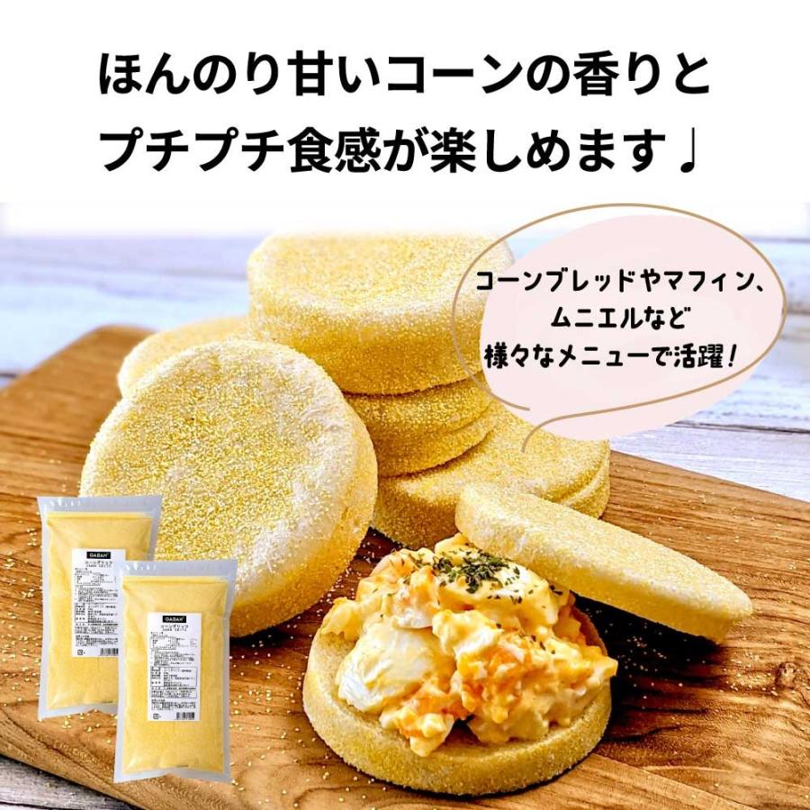 乾燥食品 細かくカット 500g×2 GABAN（ギャバン） 「 コーングリッツ 」 2kg(500g×4) 常温 業務用
