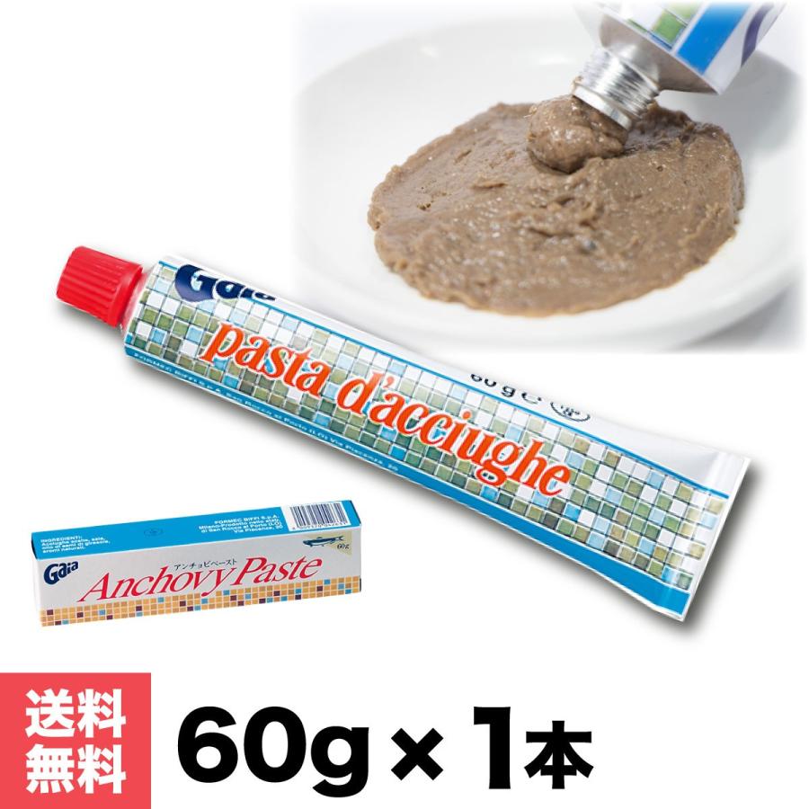 アンチョビ ペースト 調味料  60g×1本 フォルメック 熟成 チューブ式 ソース イタリア産 ガイア 「アンチョビペースト」 JC の商品画像