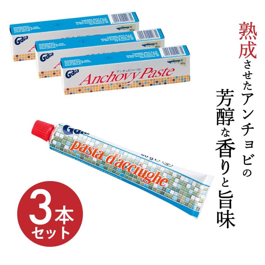 アンチョビ ペースト 調味料  60g×3本 フォルメック  熟成 チューブ式 常温 ソース イタリア産 ガイア 「アンチョビペースト」 JC の商品画像