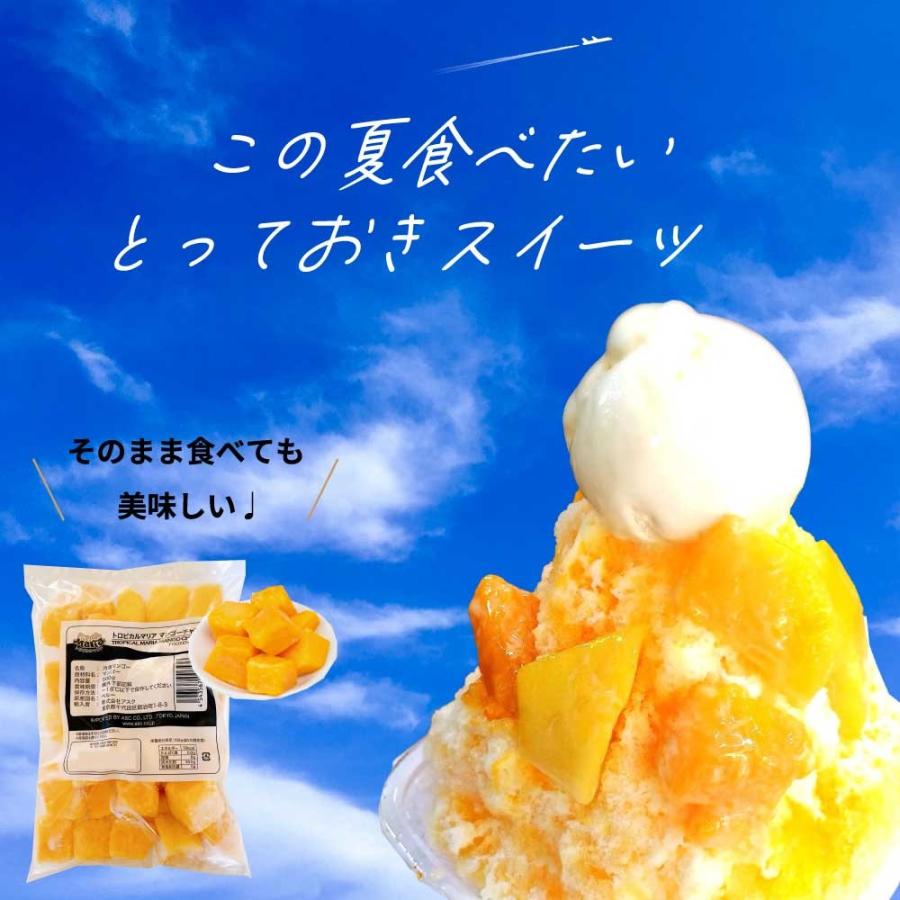 冷凍 マンゴー ごろっと ダイスカット 500g トロピカルマリア アスク