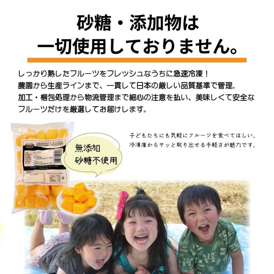 冷凍 マンゴー 」 ダイスカット 500g 1袋 トロピカルマリア 冷凍 マンゴー 」 ダイスカット 500g 1袋 トロピカルマリア