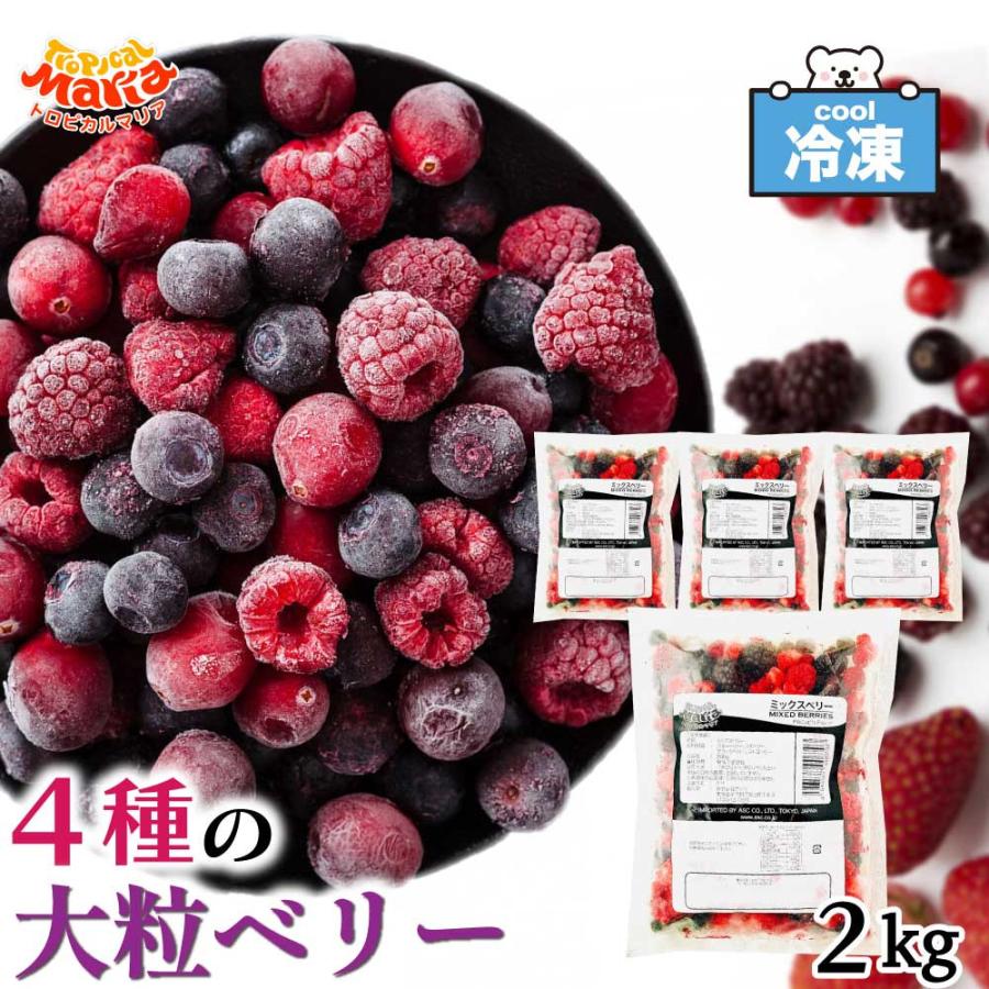 冷凍ミックスベリー 4種の果実 トロピカルマリア 冷凍ベリー 2kg(500g