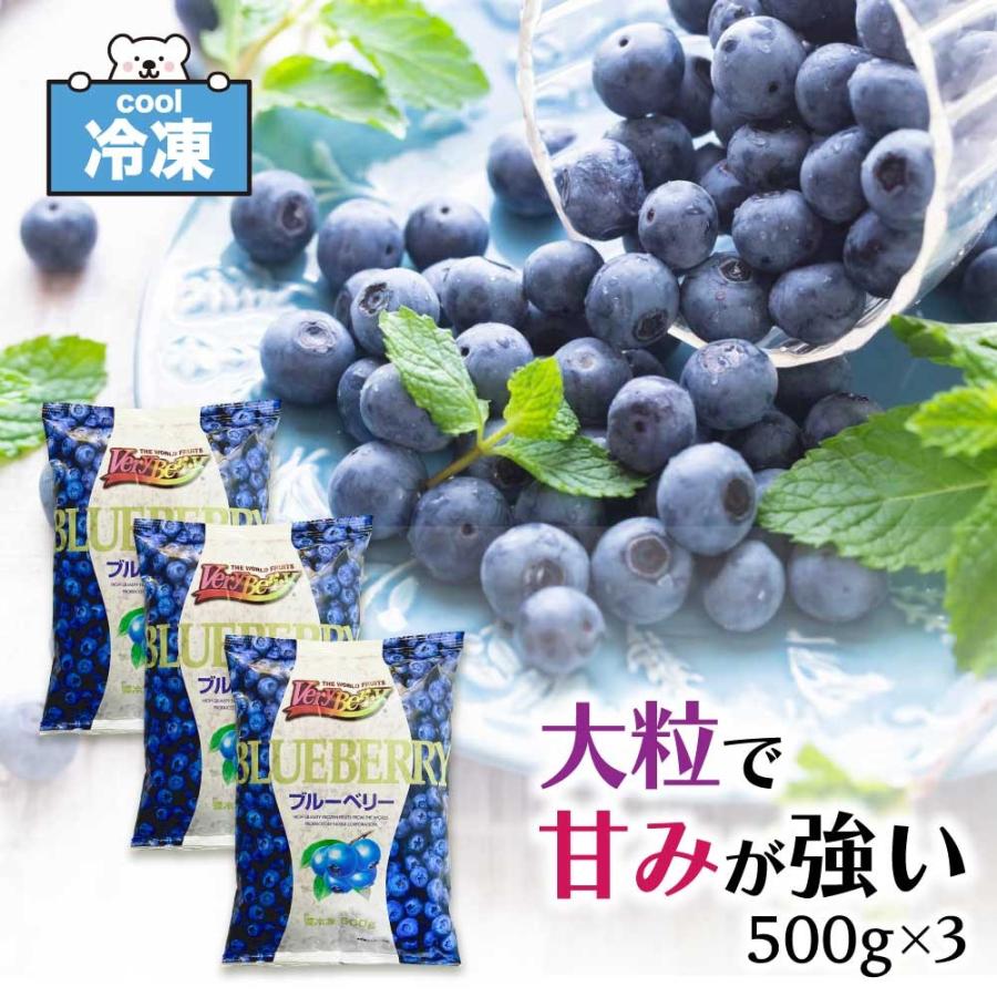nosui 冷凍ブルーベリー ノースイ VeryBerry 大容量 カナダ産