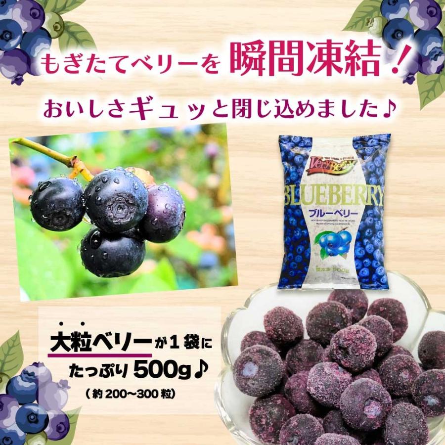 nosui 冷凍ブルーベリー ノースイ VeryBerry 大容量 カナダ産 nosui 冷凍ブルーベリー ノースイ VeryBerry 大容量 カナダ産