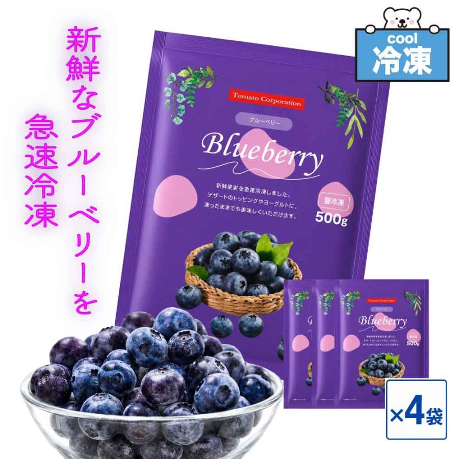トマトコーポレーション 冷凍 ブルーベリー BL-1 大容量 ぺルー産 業務