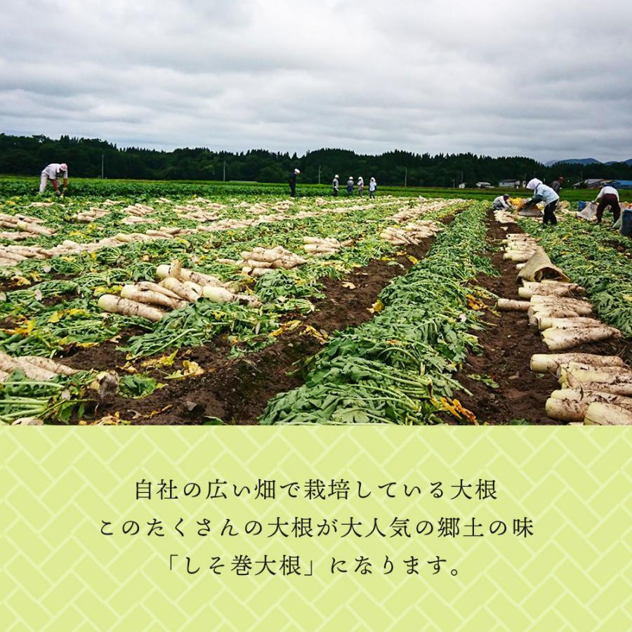 しそ巻き大根 漬物 大根 醤油漬け お茶請け おつまみ ご飯のお供 3パック 大根のしそ巻き ご贈答品 Art Sd 3 ぎゅっとかづの 通販 Yahoo ショッピング
