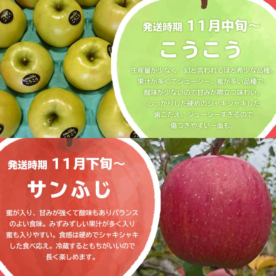 りんご 10kg 秋田 鹿角 リンゴ 24〜40玉 家庭用 傷あり難あり りんご 10kg 秋田 鹿角 リンゴ 24〜40玉 家庭用 傷あり難あり