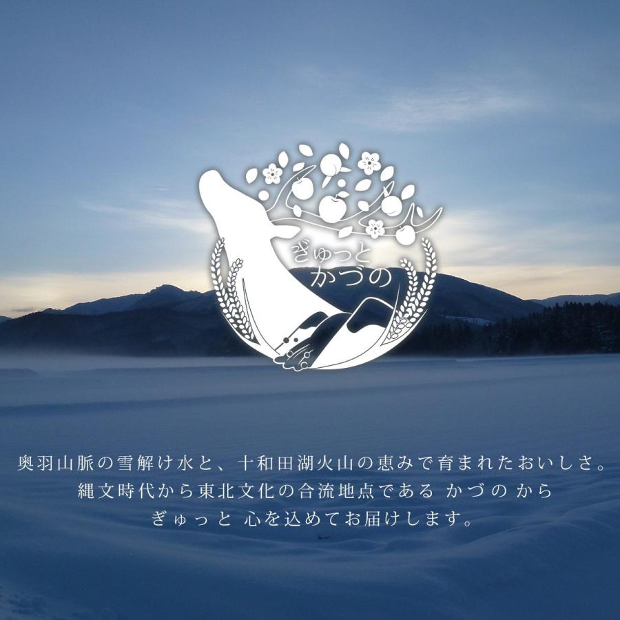 贈答品 プレミアムリンゴジュース Megumi ストレート100 無添加 サンフジ こうこう りんご ギフト 1 000ml 3本セット としま農園 Toshima Pj 1l 3 ぎゅっとかづの 通販 Yahoo ショッピング