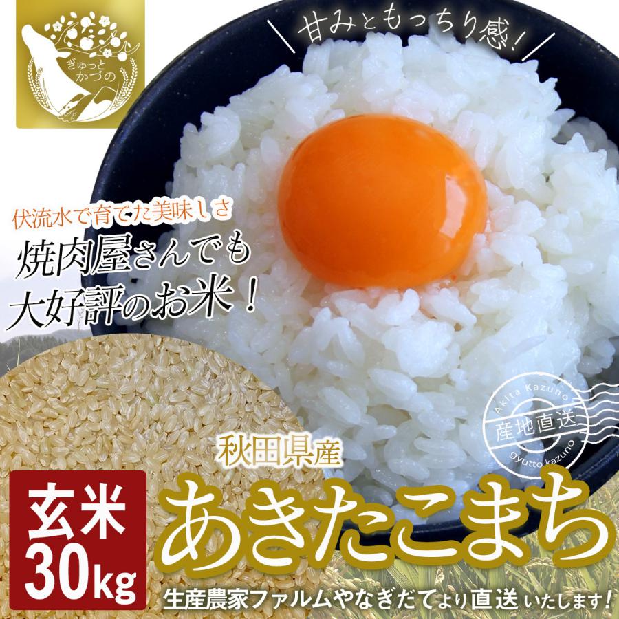 あきたこまち 玄米 30kg 送料無料お徳用 ご自宅用 秋田 鹿角 生産者直送 こだわり製法 ファルムやなぎだて ふっくらもちもち お米｜gyutto-kazuno