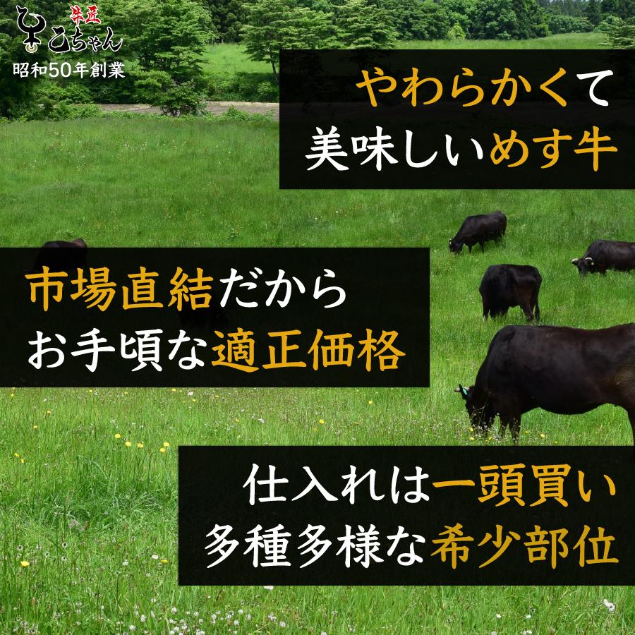 焼肉 国産 メス牛 とうがらし ブロック 塊 500g お肉 精肉 牛肉 黒毛和牛 A4 ランク 高級 ギフト 2023  お取り寄せグルメ｜gyuusyouotochan｜03