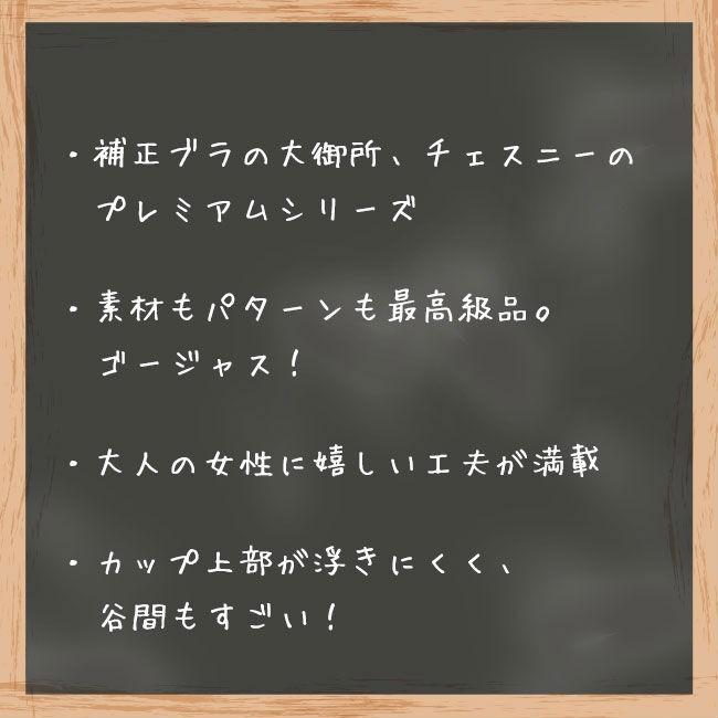 ChasneyBeauty チェスニービューティー シカゴプレステージ ウェイクアップブラ ルビーアイボリー 補整下着 脇肉 育乳 ブラジャー 3/4カップブラ 厚手パッド付 | ChasneyBeauty | 14