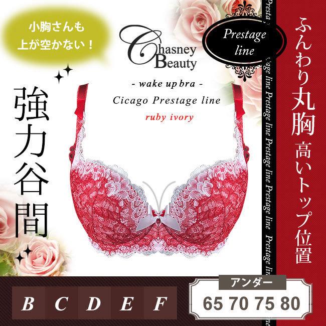 ChasneyBeauty チェスニービューティー シカゴプレステージ ウェイクアップブラ ルビーアイボリー 補整下着 脇肉 育乳 ブラジャー 3/4カップブラ 厚手パッド付 | ChasneyBeauty | 02