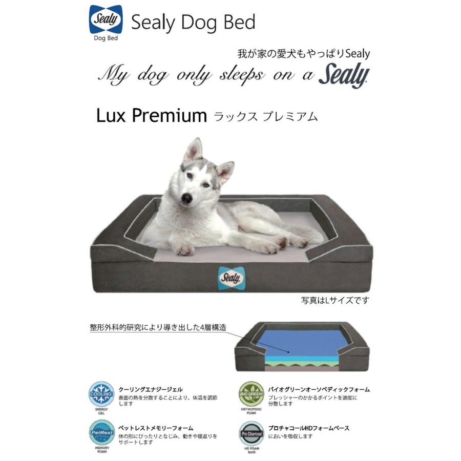 シーリー Dog Bed Lux premium Mサイズ ドッグベッド 犬用ベッド ラックスプレミアム Sealy