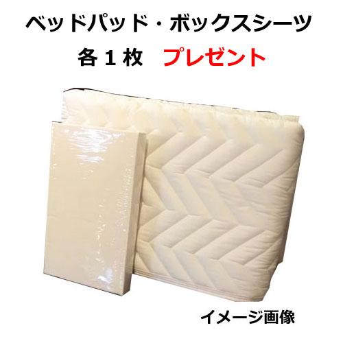 Sealy（シーリー） 【ベッドパッド・ボックスシーツプレゼント